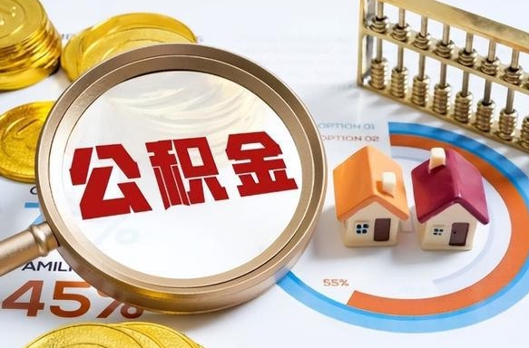 澧县失业了可以提取全部公积金吗（失业了可以提取住房公积金吗）